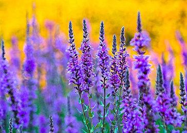 新年新游，迎接最棒的合作式恐怖游戏——Deadly Broadcast致命直播！